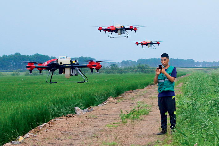 July 23, 2018: A drone operator works in a paddy field in Shuangyashan City, Heilongjiang Province.  VCG