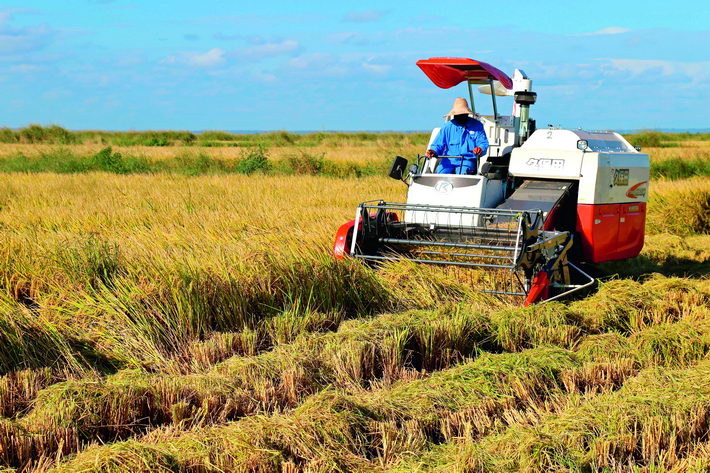 April 4, 2018: A harvester works at Wanbao rice farm in Gaza, Mozambique. The rice farm is a key project of China-Mozambique cooperation.  Xinhua