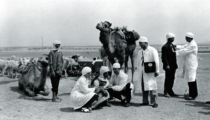 1969: A Chinese medical team provides medical services for local herders in the Sahara in Algeria. Since China dispatched its first medical aid team to Africa in 1963, Chinese medical aid workers have treated millions of patients and trained tens of thousands of medical workers in over 50 African countries and regions.  Xinhua